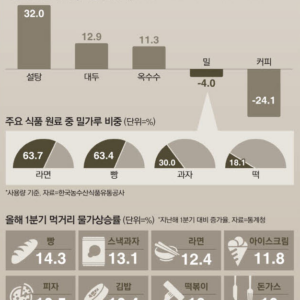 정부 압박에