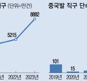 中직구 공습