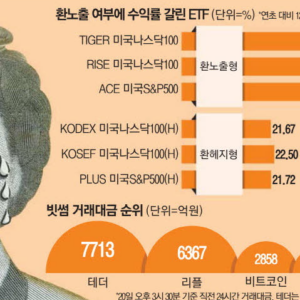 원화값 약세에 조용히 웃는 환노출ETF